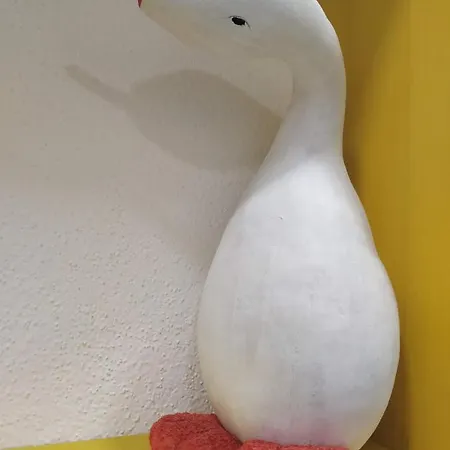 Sa Crobe Lanusei